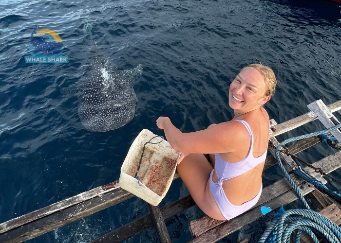 Saleh Bay marine life tour