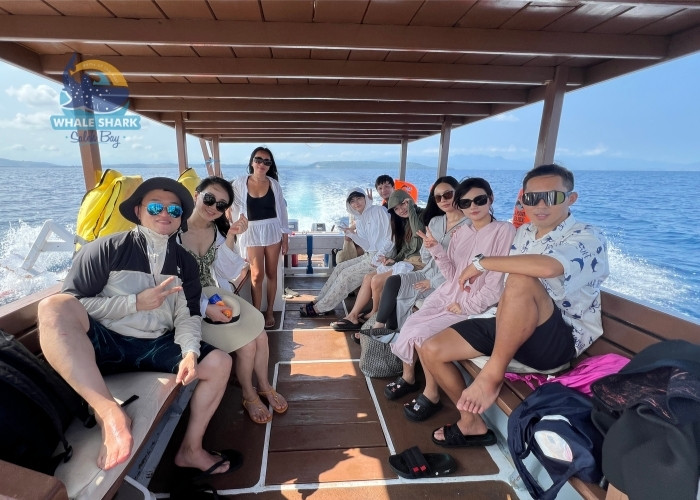 moyo island exploration