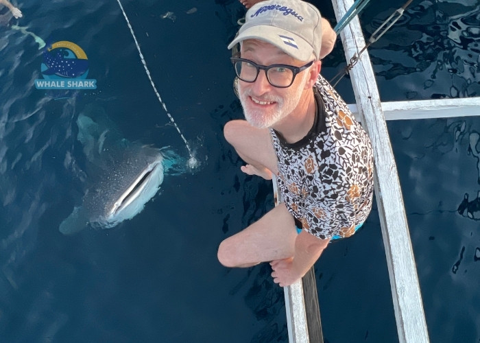 whale shark adventure packages Saleh Bay