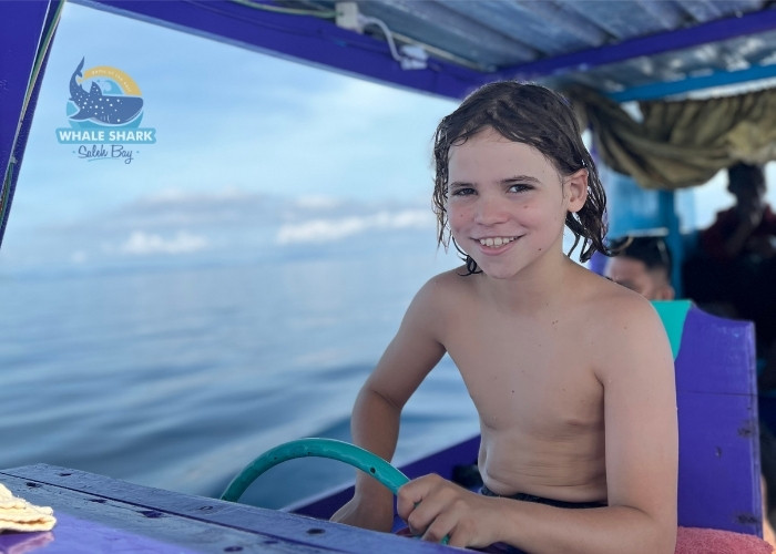 whale shark boat trips Saleh Bay