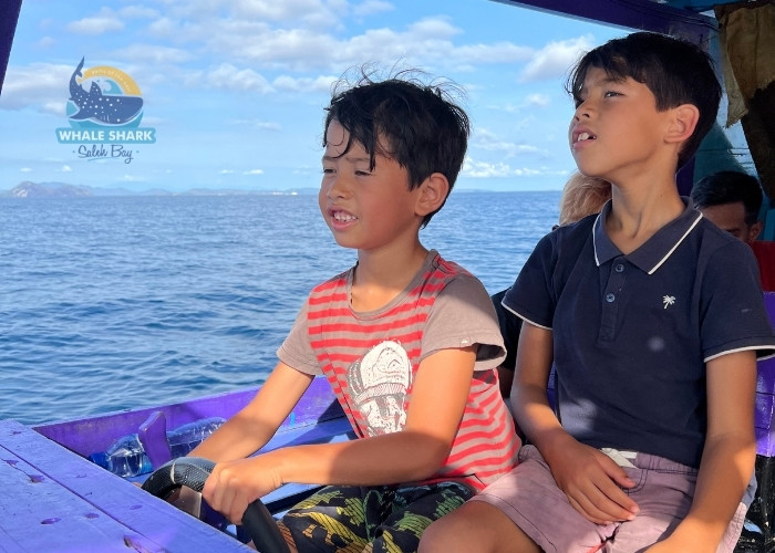 whale shark sightings Saleh Bay