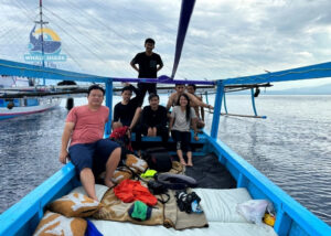 whale shark travel experiences Saleh Bay