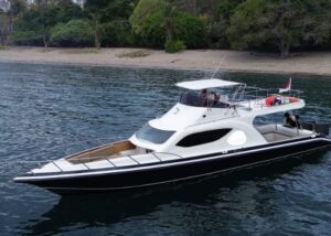 luxury boat whale shark sumbawa