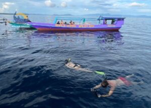 boat trip whale shark snorkeling Indonesia