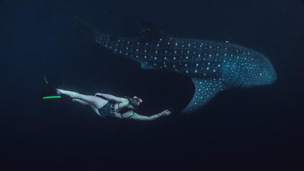 snorkel adventure Sumbawa