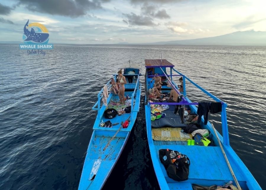 scuba tour snorkeling in Saleh Bay