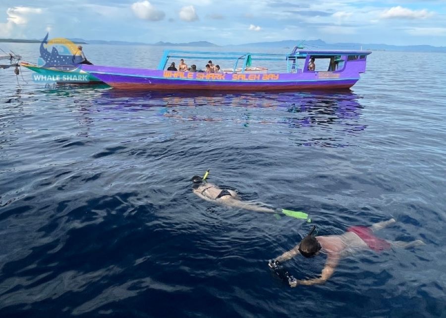 Beginner friendly snorkeling in Saleh Bay