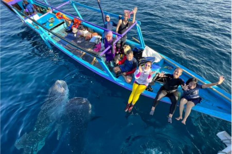 whale shark diving Indonesia boat trip