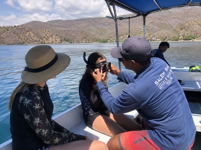 whale shark encounter family friendly