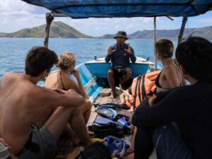 Where to Dive With Whale Sharks Shallow Water