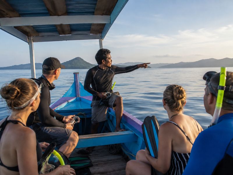 Guided Whale Shark Snorkeling