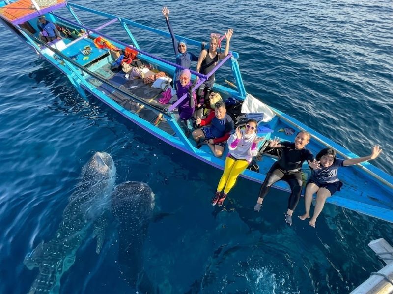 Whale Shark Group Tour Good for Families