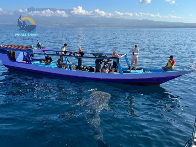 snorkeling itinerary
